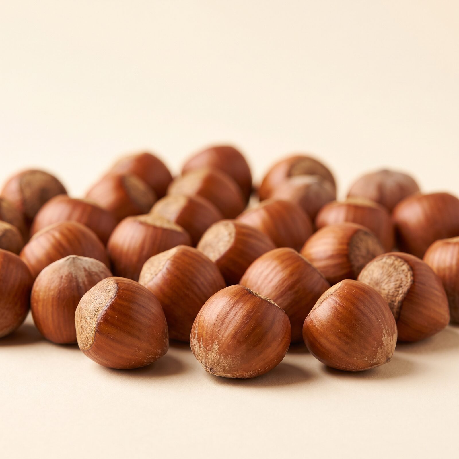 In-shell hazelnuts, studio product illustration