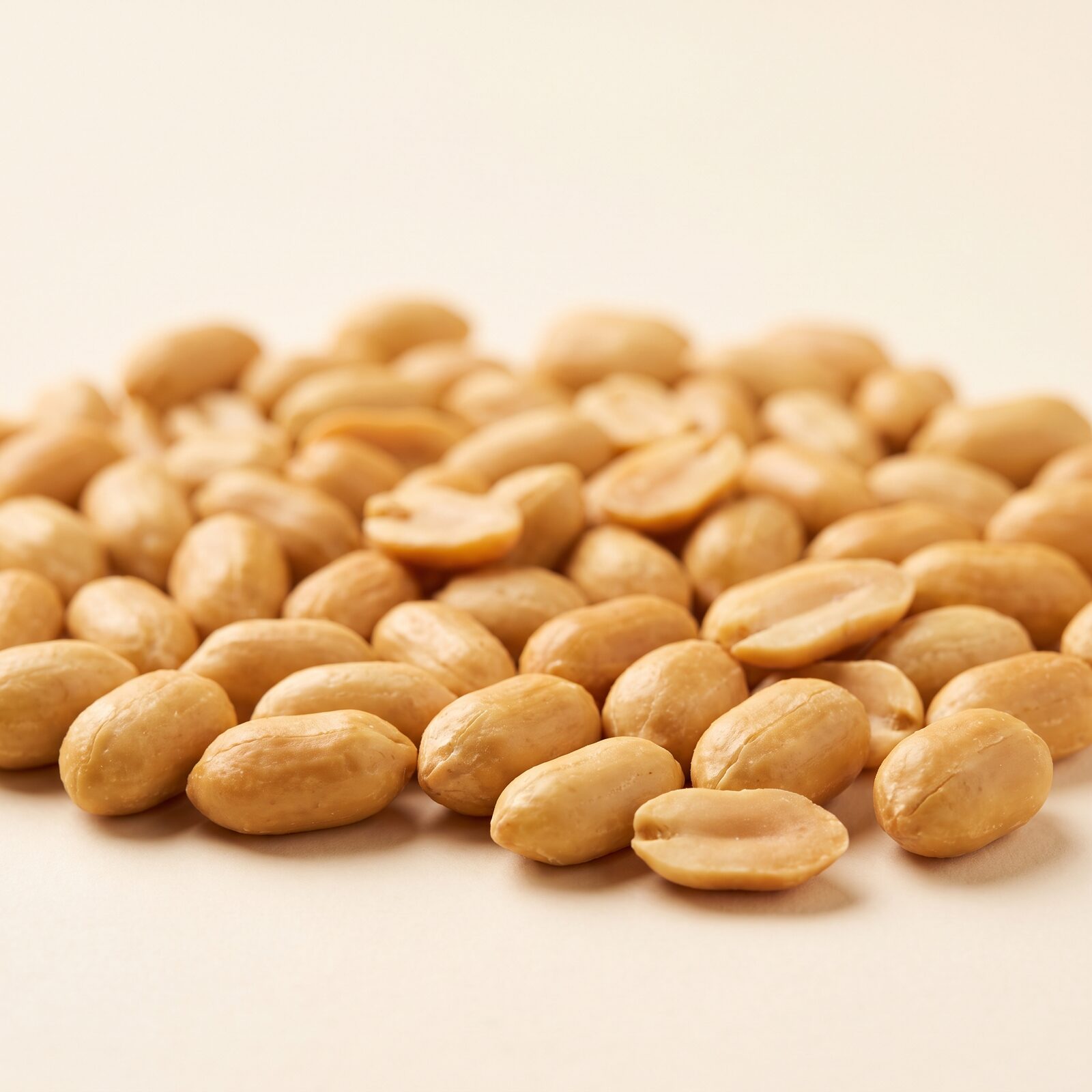 Peanut, studio illustration