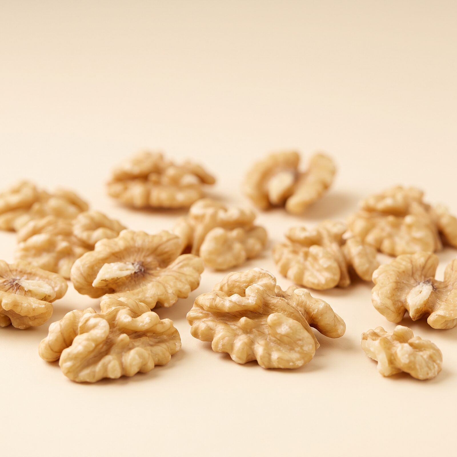 Walnut, studio illustration